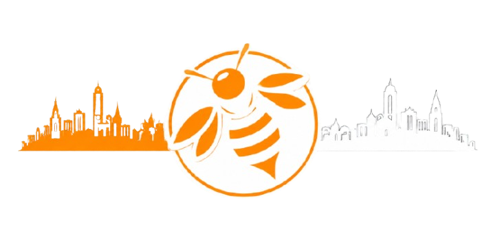 Dinotshi Projects Logo